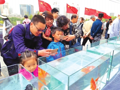 長假期間，有趣的活動(dòng)吸引了市民圍觀