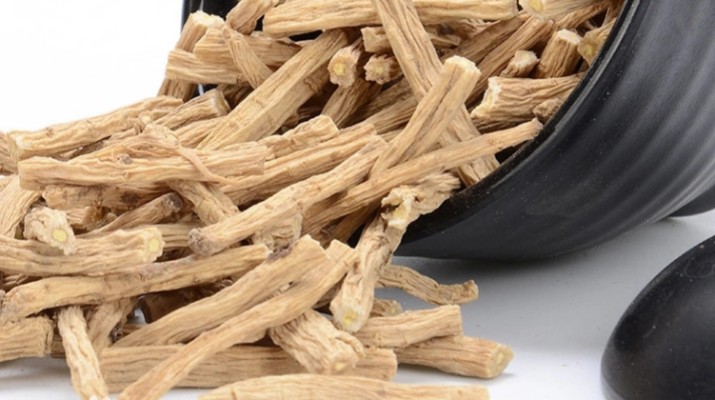 享游渭河源丨千年藥香浸潤的山水秘境，開啟一場康養(yǎng)之旅